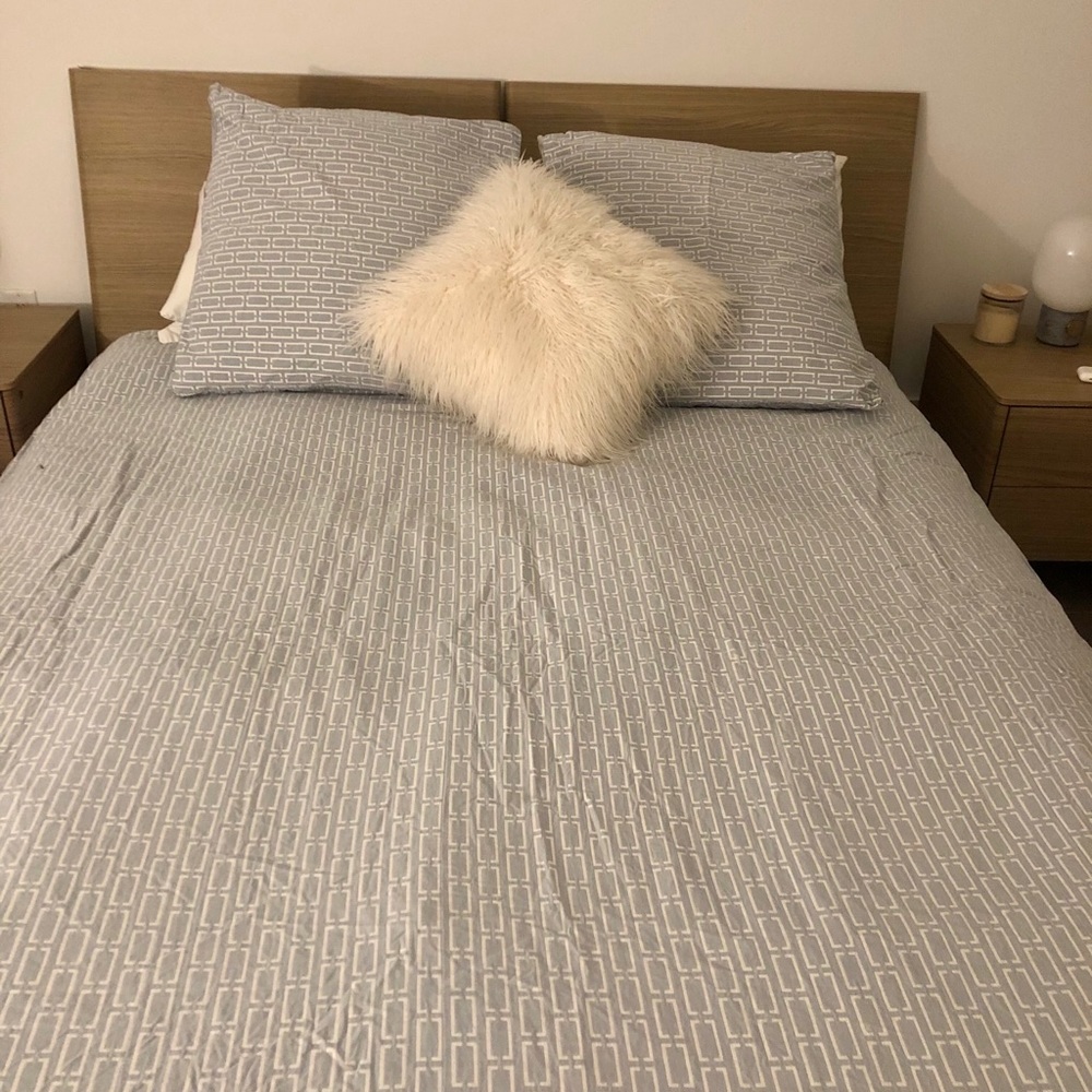 West Elm Queen Duvet and Euro Sham Set